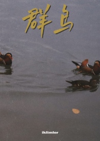 群鸟飞过湖面的情景